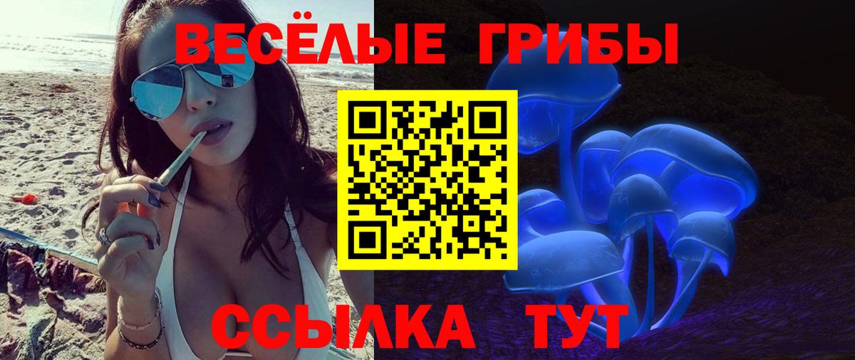 Галлюциногенные грибы Psilocybe Чайковский