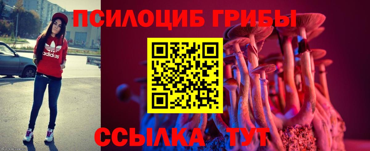 Псилоцибиновые грибы прущие грибы  Галлюциногенные грибы прущие грибы  Вход с VPN  Чайковский 